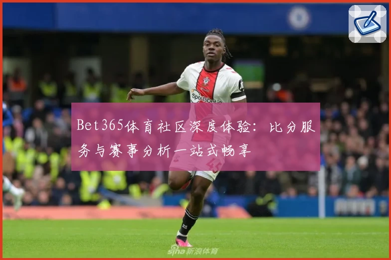 Bet365体育社区深度体验：比分服务与赛事分析一站式畅享