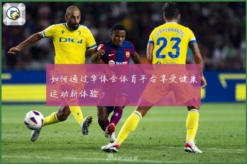 如何通过华体会体育平台享受健康运动新体验