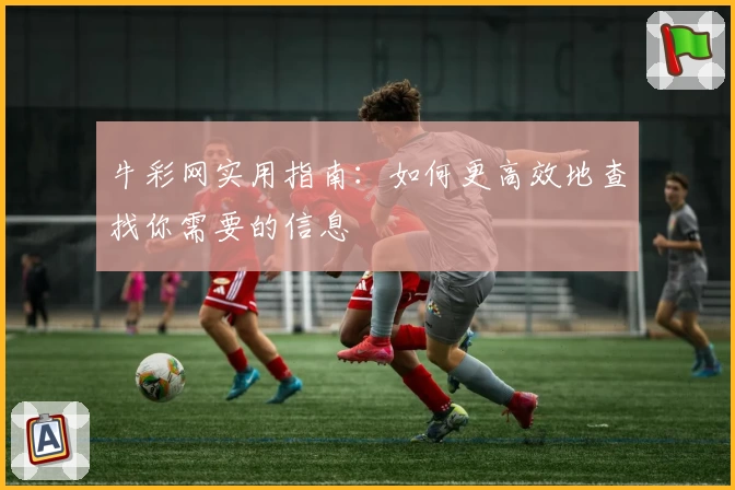 牛彩网实用指南：如何更高效地查找你需要的信息