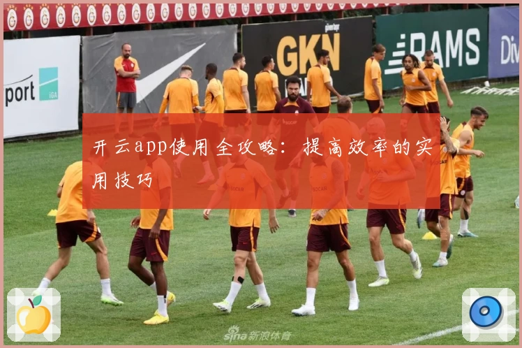 开云app使用全攻略：提高效率的实用技巧