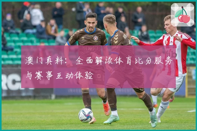 澳门真料：全面解读体育比分服务与赛事互动体验