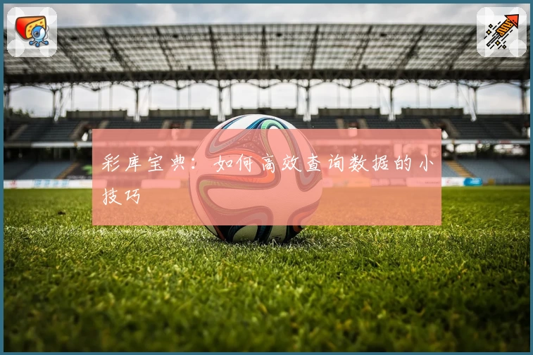 彩库宝典:如何高效查询数据的小技巧