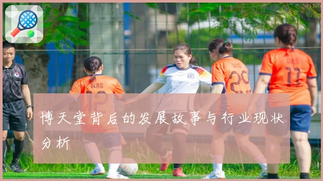 博天堂背后的发展故事与行业现状分析