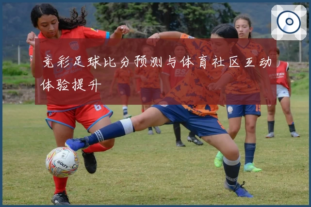竞彩足球比分预测与体育社区互动体验提升