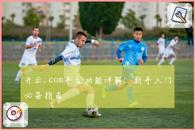 开云.com平台功能详解：新手入门必备指南