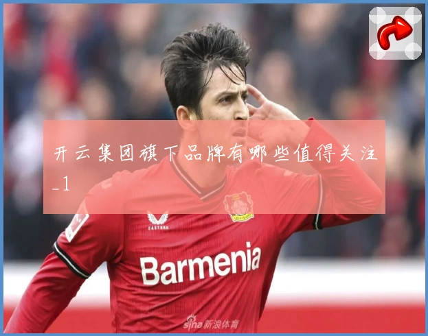 开云集团旗下品牌有哪些值得关注_1