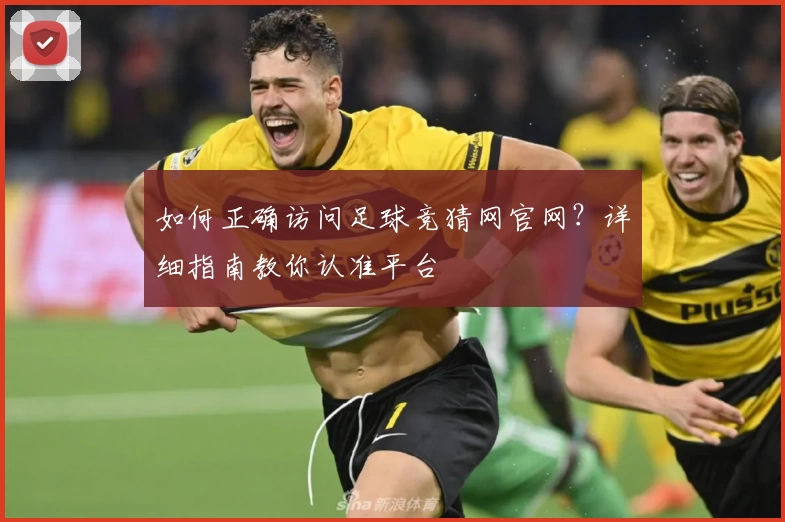 如何正确访问足球竞猜网官网？详细指南教你认准平台