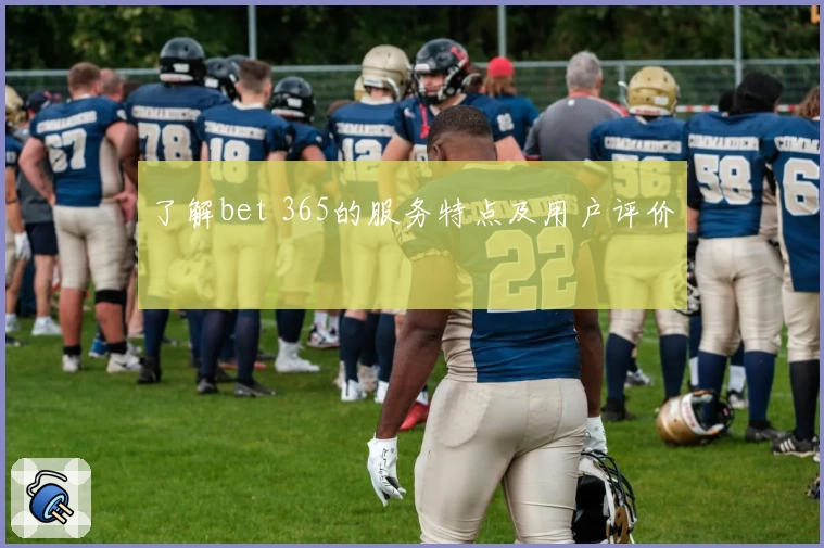 了解bet 365的服务特点及用户评价
