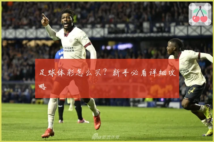 足球体彩怎么买？新手必看详细攻略