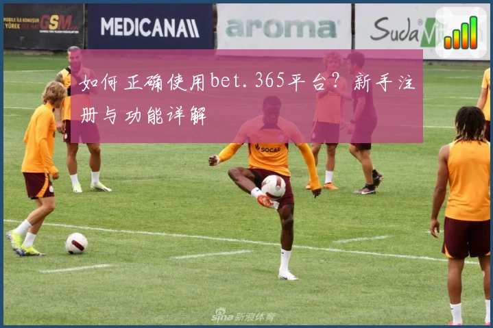 如何正确使用bet.365平台？新手注册与功能详解
