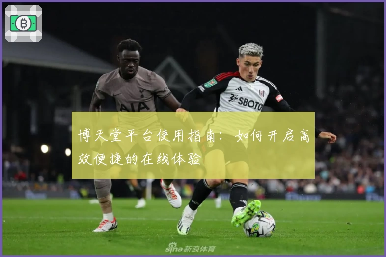 博天堂平台使用指南：如何开启高效便捷的在线体验