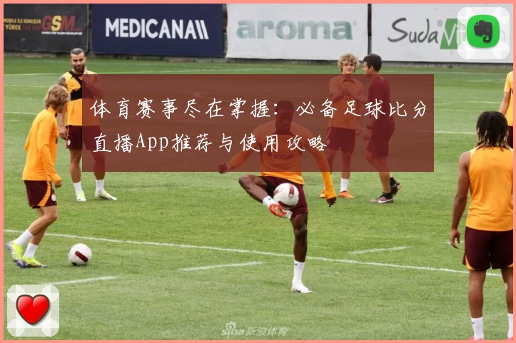 体育赛事尽在掌握：必备足球比分直播App推荐与使用攻略