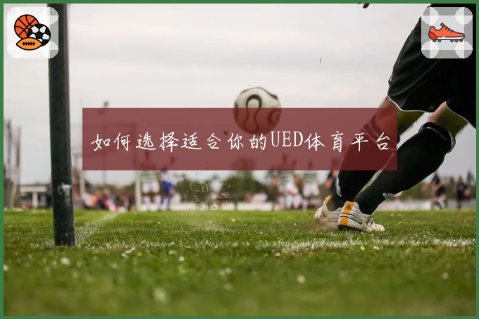 如何选择适合你的UED体育平台