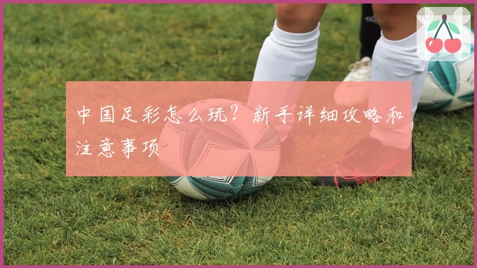 中国足彩怎么玩？新手详细攻略和注意事项