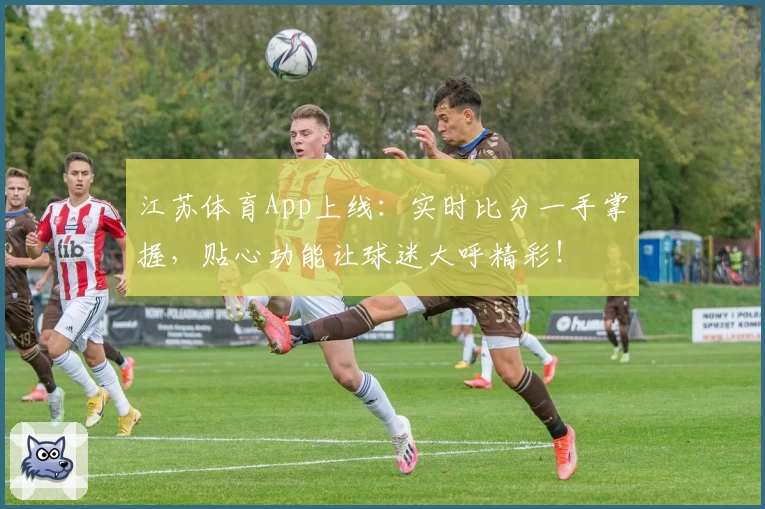 江苏体育App上线:实时比分一手掌握,贴心功能让球迷大呼精彩!