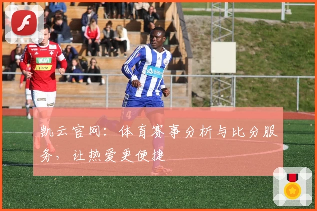 凯云官网：体育赛事分析与比分服务，让热爱更便捷