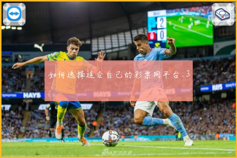 如何选择适合自己的彩票网平台_3