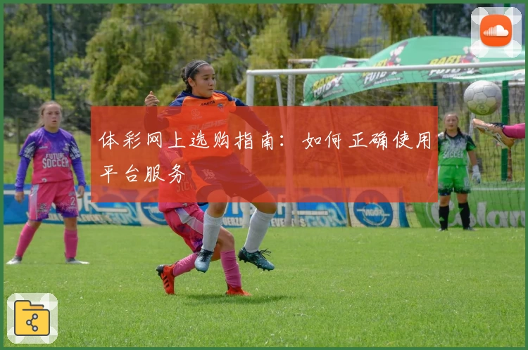 体彩网上选购指南：如何正确使用平台服务
