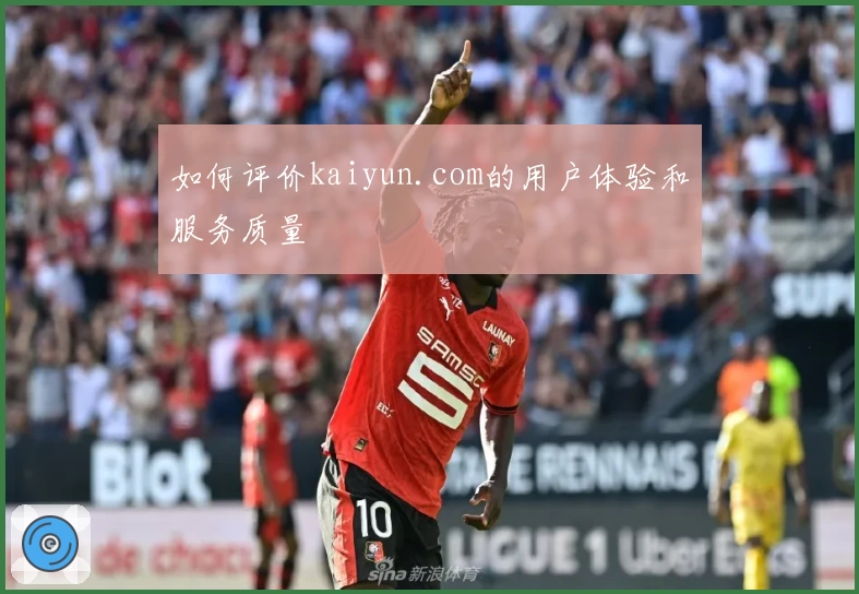 如何评价kaiyun.com的用户体验和服务质量
