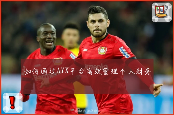 如何通过AYX平台高效管理个人财务