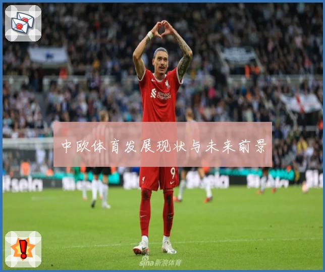 中欧体育发展现状与未来前景