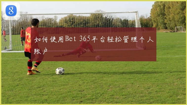 如何使用Bet 365平台轻松管理个人账户