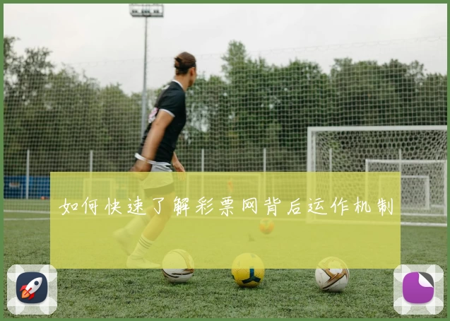 如何快速了解彩票网背后运作机制