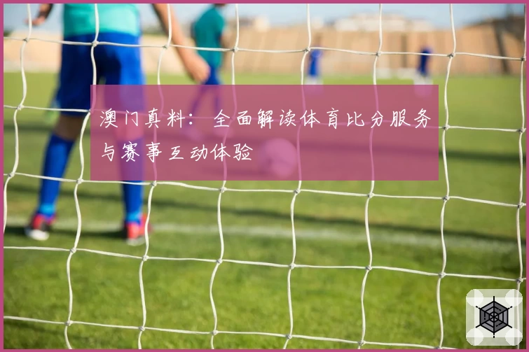 澳门真料：全面解读体育比分服务与赛事互动体验