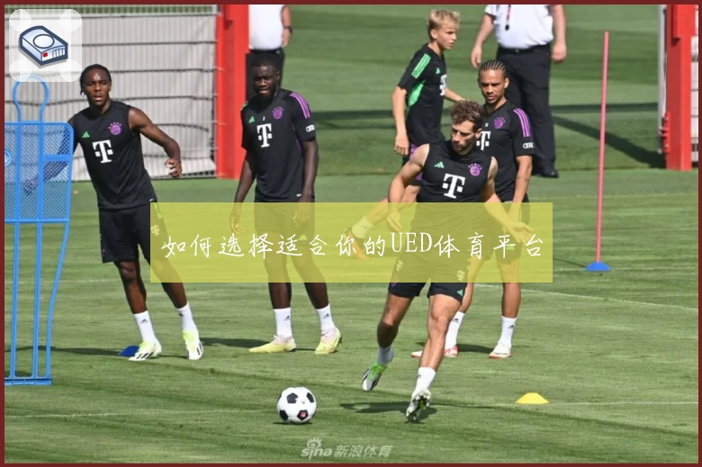 如何选择适合你的UED体育平台