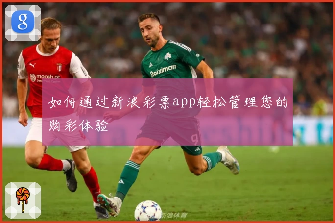 如何通过新浪彩票app轻松管理您的购彩体验