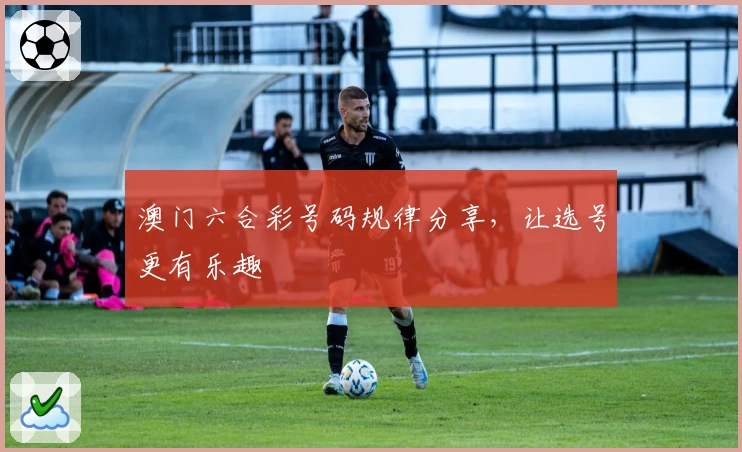 澳门六合彩号码规律分享，让选号更有乐趣