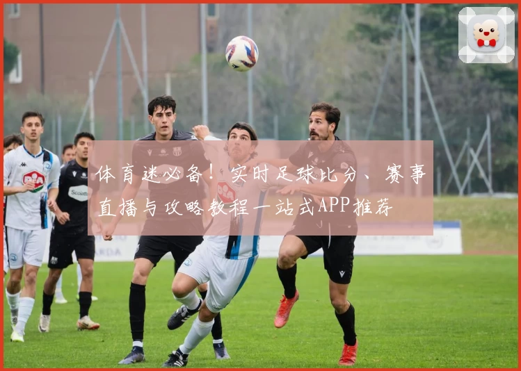 体育迷必备！实时足球比分、赛事直播与攻略教程一站式APP推荐