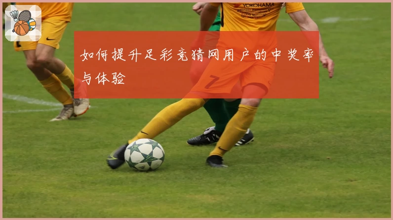 如何提升足彩竞猜网用户的中奖率与体验