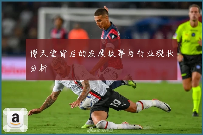 博天堂背后的发展故事与行业现状分析