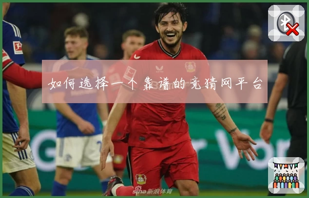 如何选择一个靠谱的竞猜网平台
