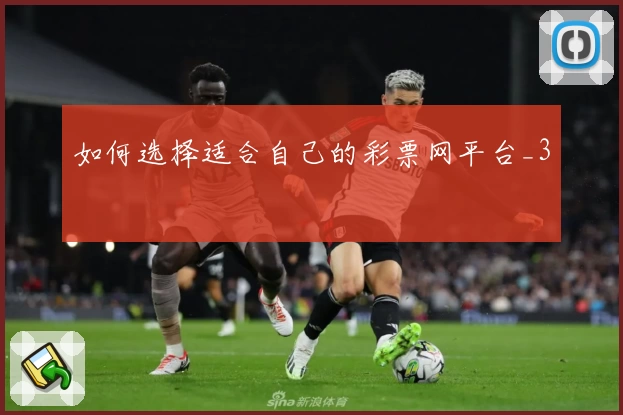 如何选择适合自己的彩票网平台_3