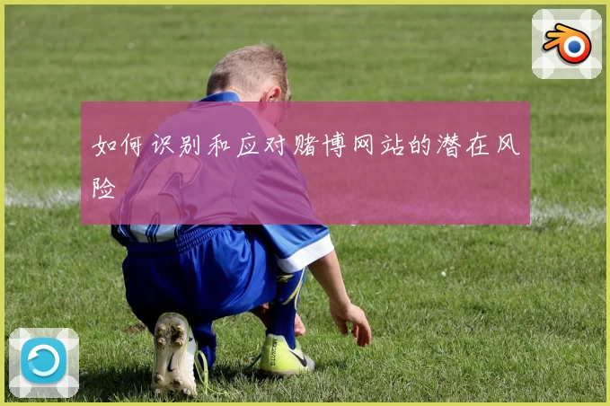 如何识别和应对赌博网站的潜在风险