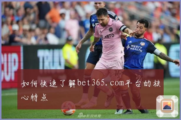 如何快速了解bet365.com平台的核心特点