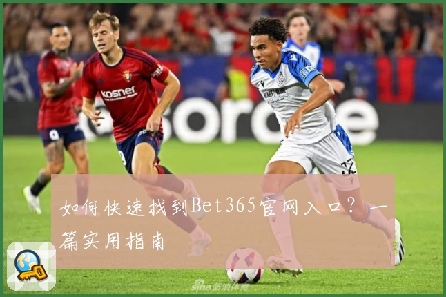 如何快速找到Bet365官网入口？一篇实用指南