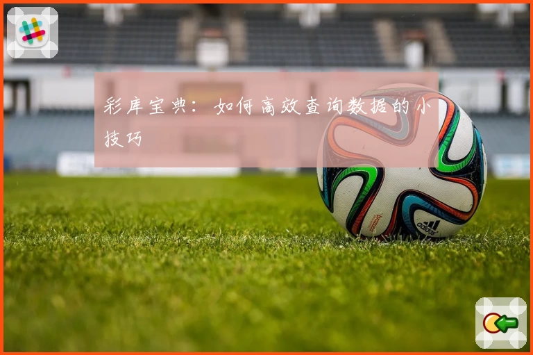 彩库宝典:如何高效查询数据的小技巧